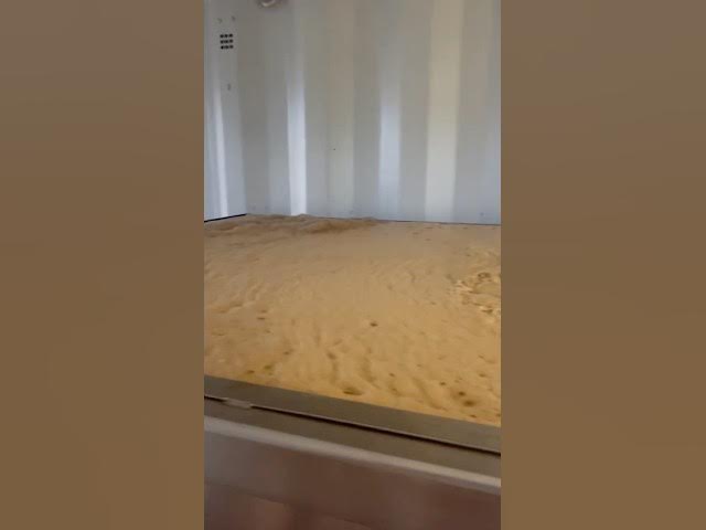 A Rum Wash Nearly Bubbling Over from a Vigorous Ferment
