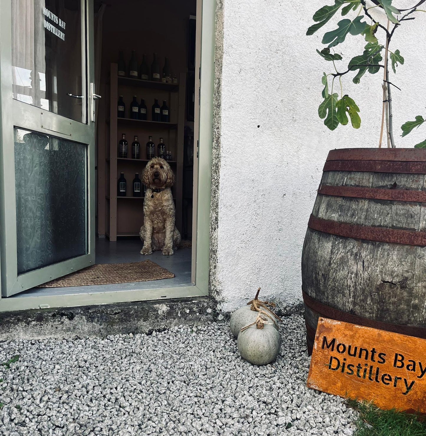 Distillery Tour & Tasting