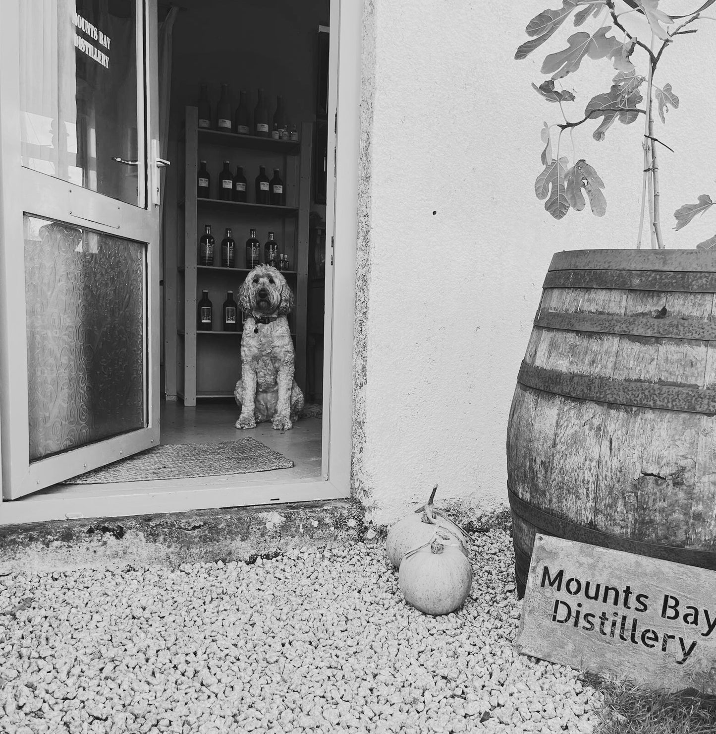 Distillery Tour & Tasting
