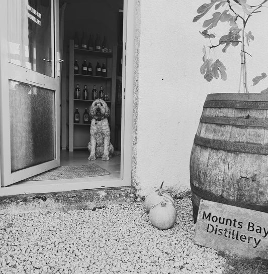Distillery Tour & Tasting